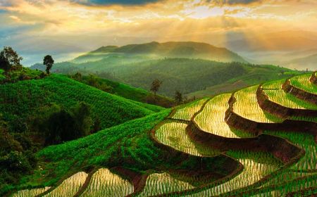 Authentic Golden Triangle