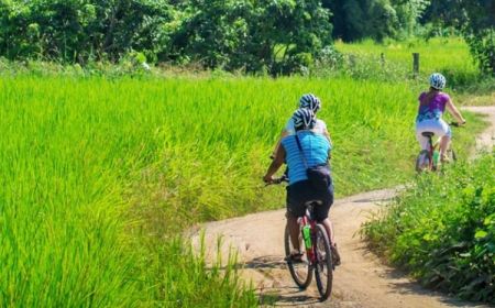 Cycling Chiang Mai To Chiang Rai