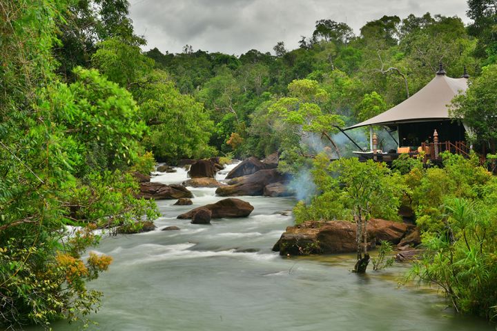 Jungle To The Beache