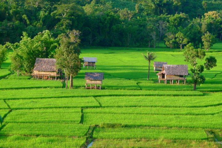 Behind The Scenes In The Northern Laos
