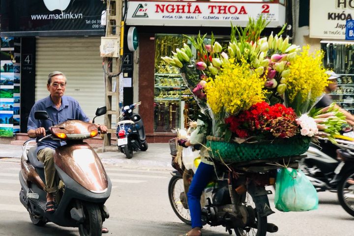 Highlights Of Vietnam